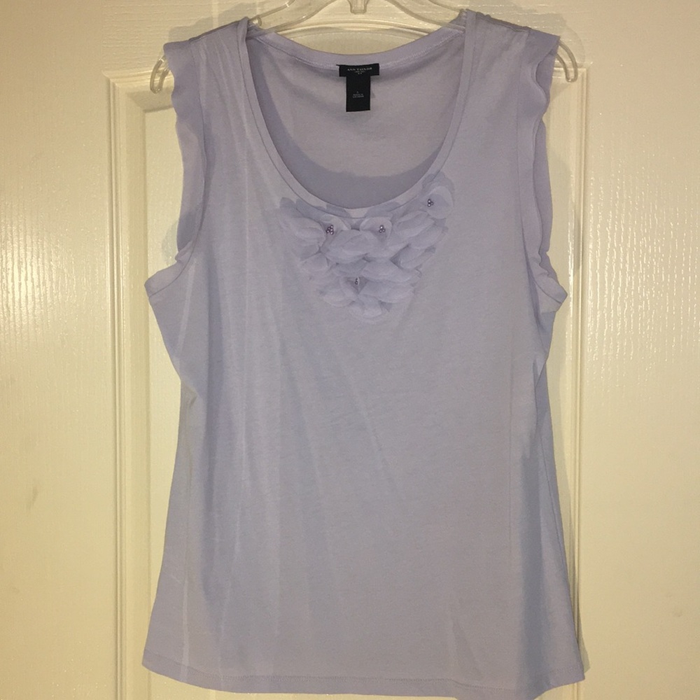 Delicate and Beautiful Ann Taylor Blouse